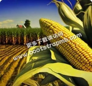 安全便捷，值得信赖 - 纬来·体育